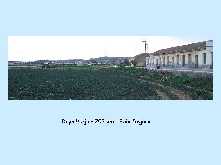 Daya Vieja – 203 km - Baix Segura 