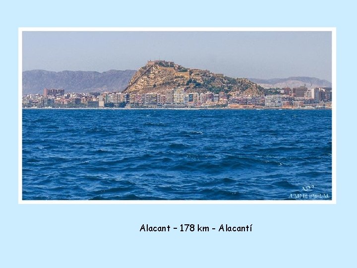 Alacant – 178 km - Alacantí 