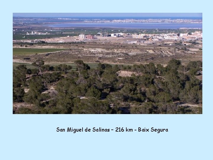 San Miguel de Salinas – 216 km - Baix Segura 