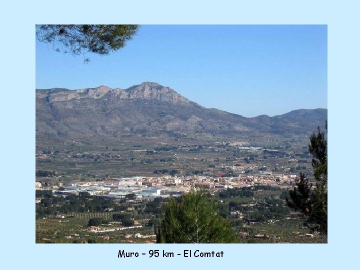 Muro – 95 km - El Comtat 