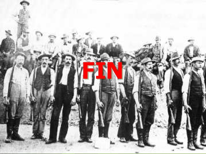 FIN FIN