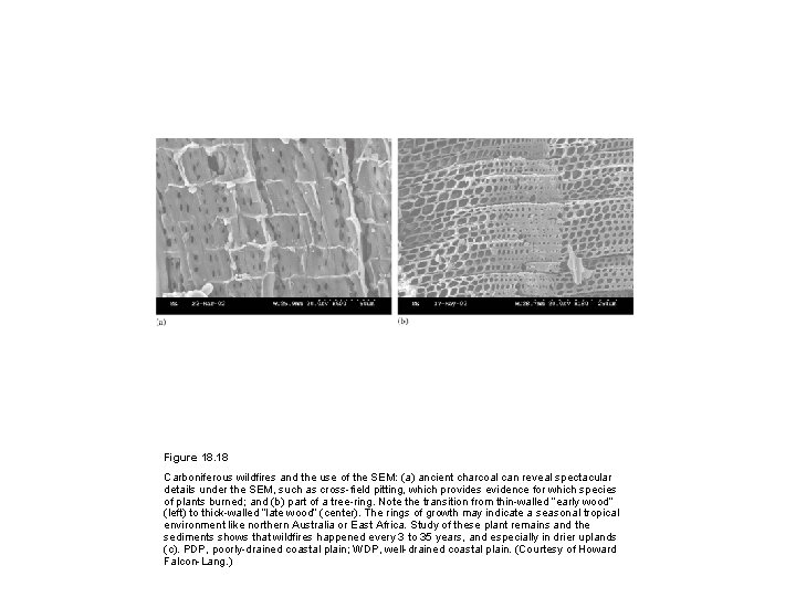 Figure 18. 18 Carboniferous wildfires and the use of the SEM: (a) ancient charcoal