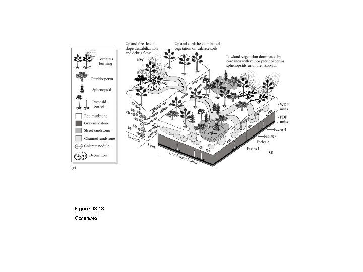 Figure 18. 18 Continued 