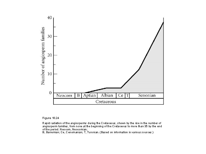 Figure 18. 24 Rapid radiation of the angiosperms during the Cretaceous, shown by the