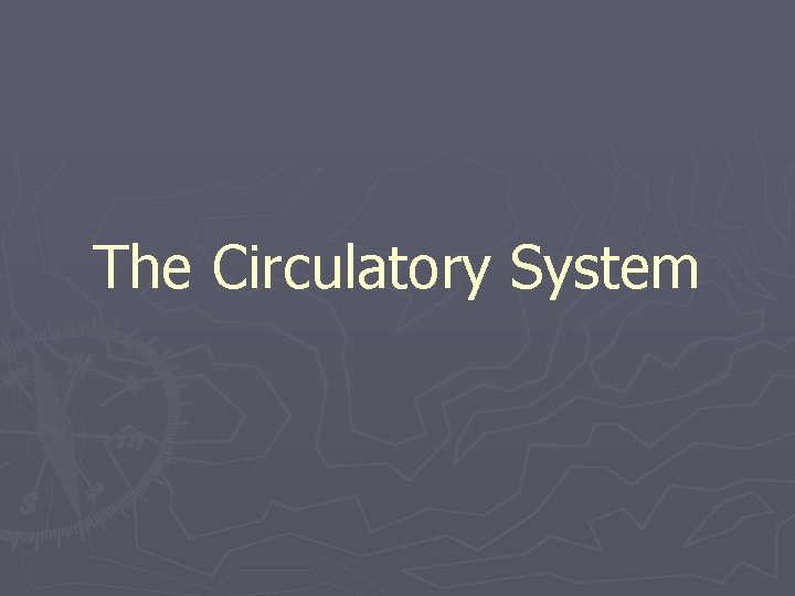 The Circulatory System 