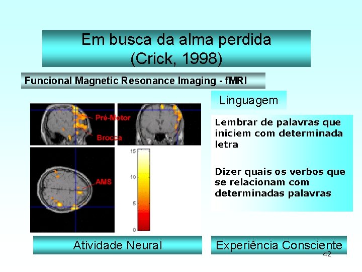 Em busca da alma perdida (Crick, 1998) Funcional Magnetic Resonance Imaging - f. MRI