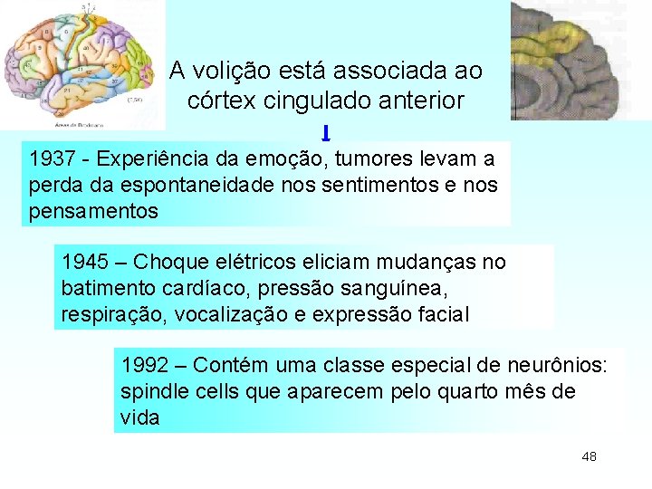 A volição está associada ao córtex cingulado anterior 1937 - Experiência da emoção, tumores