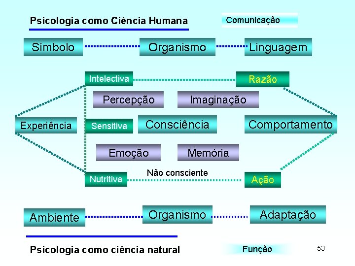 Comunicação Psicologia como Ciência Humana Símbolo Organismo Linguagem Intelectiva Razão Percepção Experiência Sensitiva Consciência
