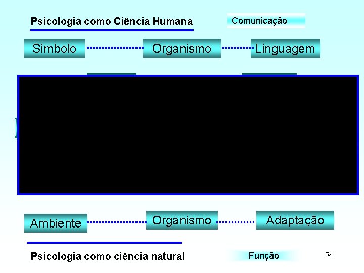 Comunicação Psicologia como Ciência Humana Símbolo Organismo Linguagem Intelectiva Razão Percepção Experiência Sensitiva Imaginação