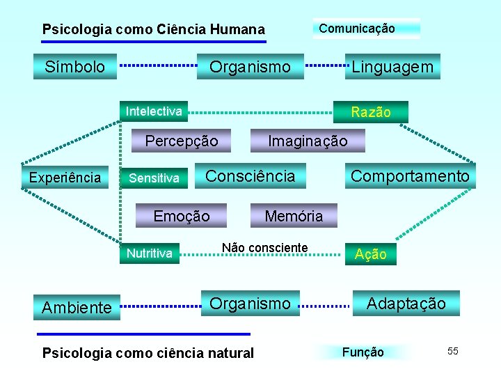 Comunicação Psicologia como Ciência Humana Símbolo Organismo Linguagem Intelectiva Razão Percepção Experiência Sensitiva Imaginação