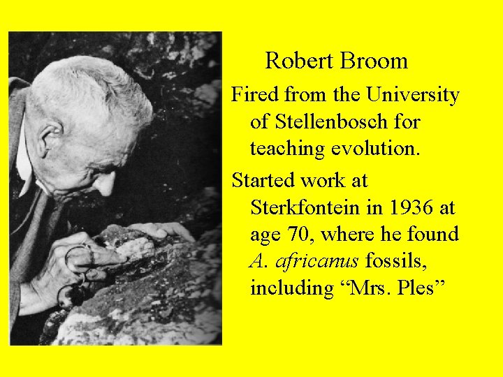 Robert Broom Fired from the University of Stellenbosch for teaching evolution. Started work at