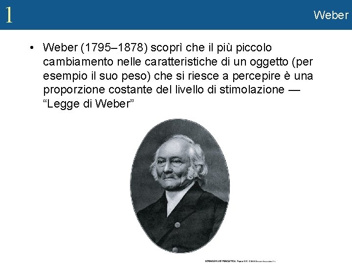 1 Weber • Weber (1795– 1878) scoprì che il più piccolo cambiamento nelle caratteristiche