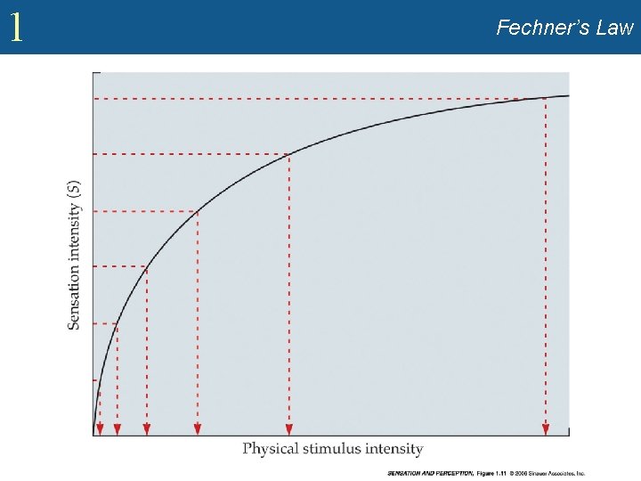 1 Fechner’s Law 