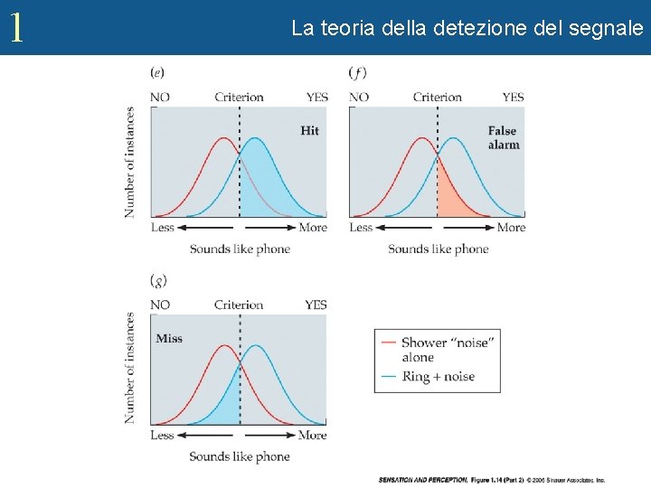 1 La teoria della detezione del segnale 