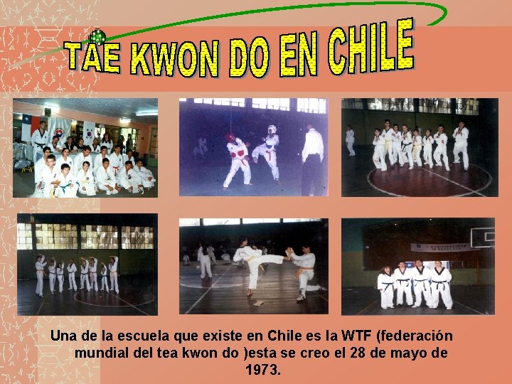 Una de la escuela que existe en Chile es la WTF (federación mundial del