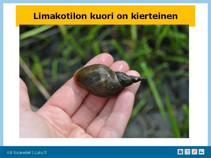 Limakotilon kuori on kierteinen KB Sisävedet | Luku 5 