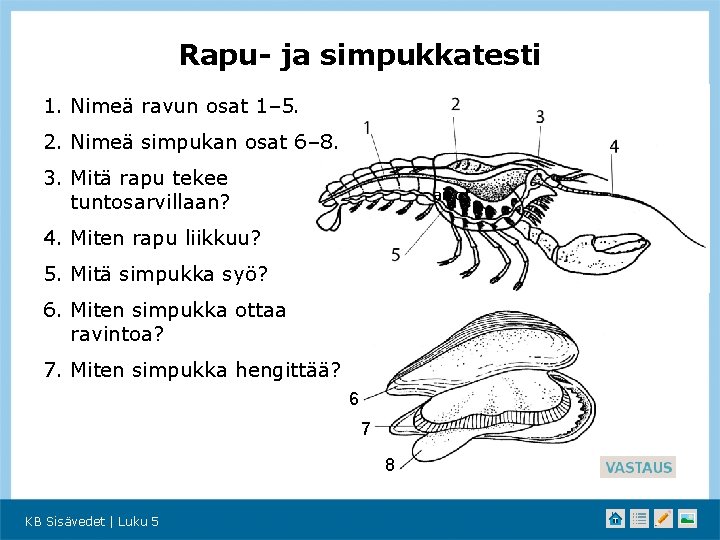 Rapu- ja simpukkatesti 1. Nimeä ravun osat 1– 5. 2. Nimeä simpukan osat 6–