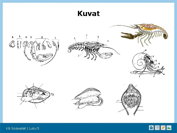 Kuvat KB Sisävedet | Luku 5 