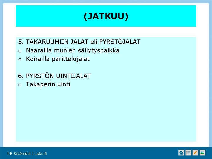 (JATKUU) 5. TAKARUUMIIN JALAT eli PYRSTÖJALAT o Naarailla munien säilytyspaikka o Koirailla parittelujalat 6.