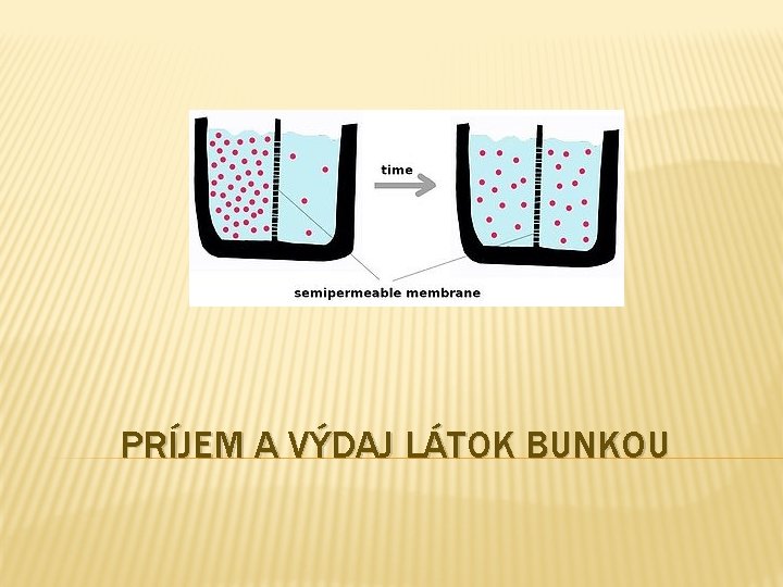 PRÍJEM A VÝDAJ LÁTOK BUNKOU 