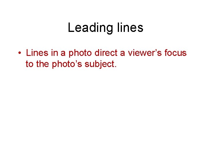 Leading lines • Lines in a photo direct a viewer’s focus to the photo’s