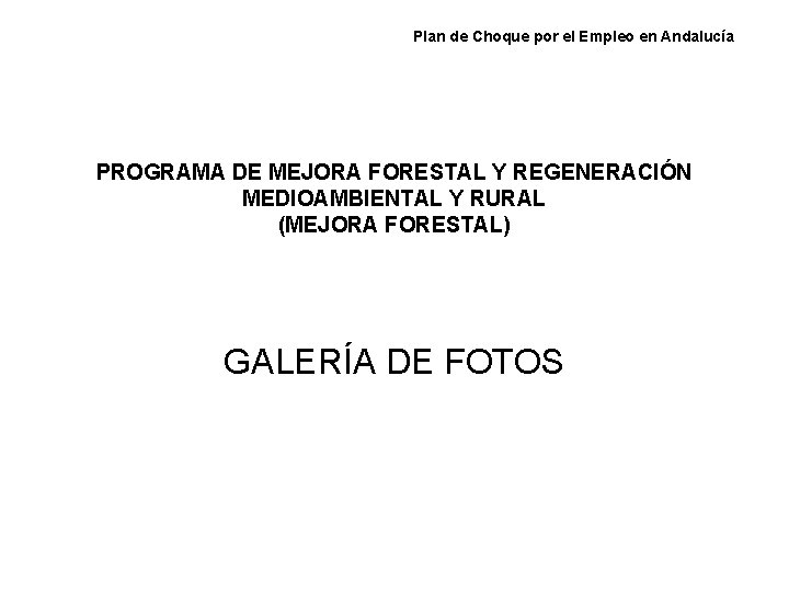 Plan de Choque por el Empleo en Andalucía PROGRAMA DE MEJORA FORESTAL Y REGENERACIÓN Plan de Choque por el Empleo en Andalucía PROGRAMA DE MEJORA FORESTAL Y REGENERACIÓN