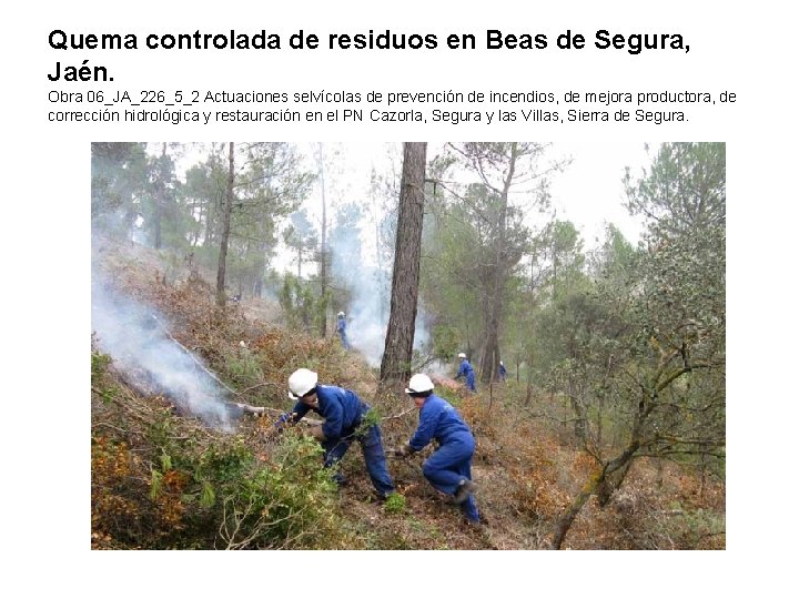 Quema controlada de residuos en Beas de Segura, Jaén. Obra 06_JA_226_5_2 Actuaciones selvícolas de Quema controlada de residuos en Beas de Segura, Jaén. Obra 06_JA_226_5_2 Actuaciones selvícolas de