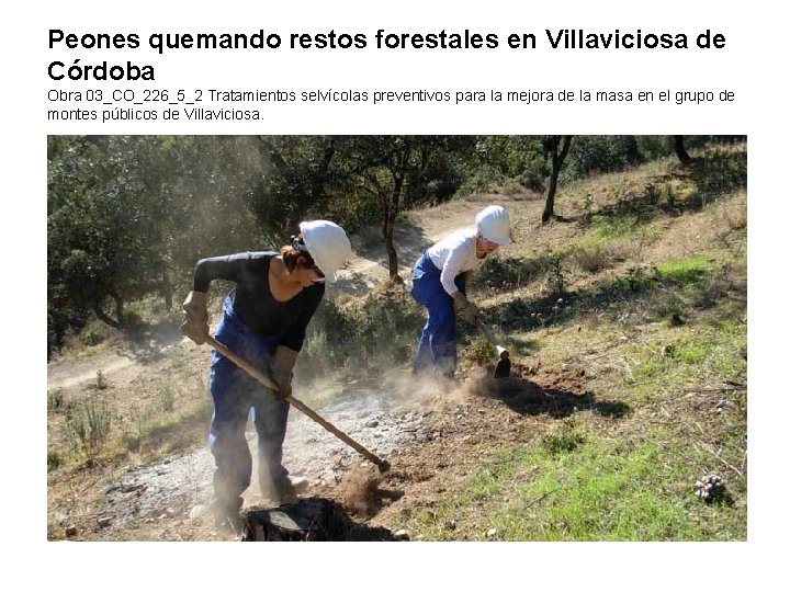 Peones quemando restos forestales en Villaviciosa de Córdoba Obra 03_CO_226_5_2 Tratamientos selvícolas preventivos para Peones quemando restos forestales en Villaviciosa de Córdoba Obra 03_CO_226_5_2 Tratamientos selvícolas preventivos para