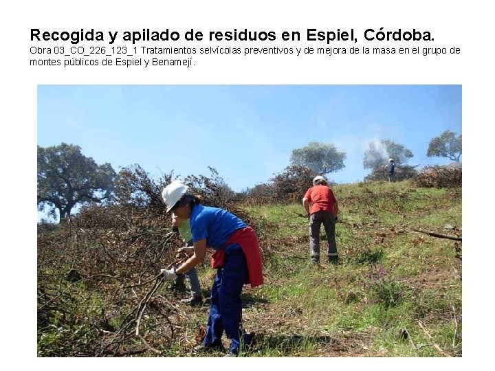 Recogida y apilado de residuos en Espiel, Córdoba. Obra 03_CO_226_123_1 Tratamientos selvícolas preventivos y Recogida y apilado de residuos en Espiel, Córdoba. Obra 03_CO_226_123_1 Tratamientos selvícolas preventivos y