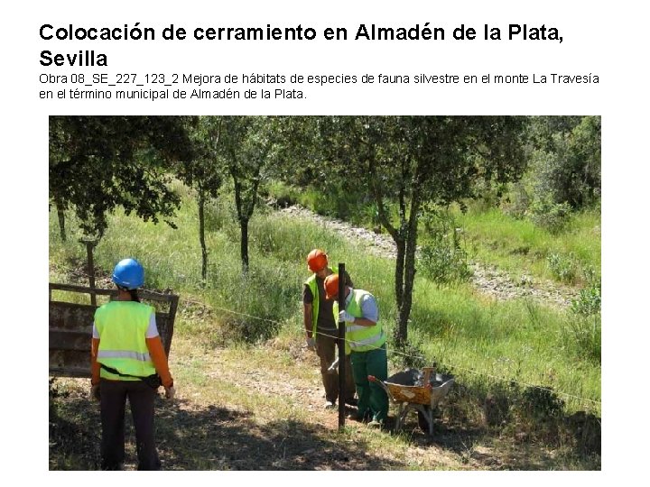 Colocación de cerramiento en Almadén de la Plata, Sevilla Obra 08_SE_227_123_2 Mejora de hábitats Colocación de cerramiento en Almadén de la Plata, Sevilla Obra 08_SE_227_123_2 Mejora de hábitats
