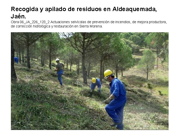 Recogida y apilado de residuos en Aldeaquemada, Jaén. Obra 06_JA_226_123_2 Actuaciones selvícolas de prevención Recogida y apilado de residuos en Aldeaquemada, Jaén. Obra 06_JA_226_123_2 Actuaciones selvícolas de prevención