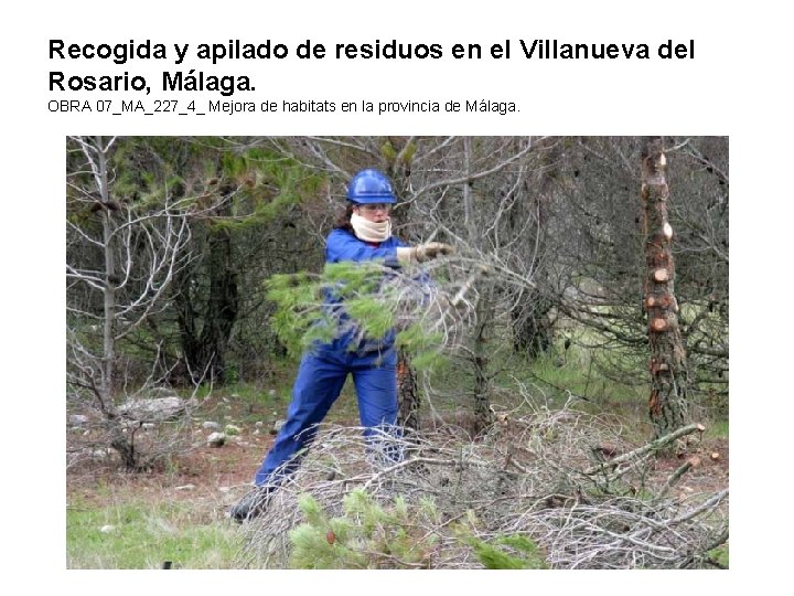 Recogida y apilado de residuos en el Villanueva del Rosario, Málaga. OBRA 07_MA_227_4_ Mejora Recogida y apilado de residuos en el Villanueva del Rosario, Málaga. OBRA 07_MA_227_4_ Mejora