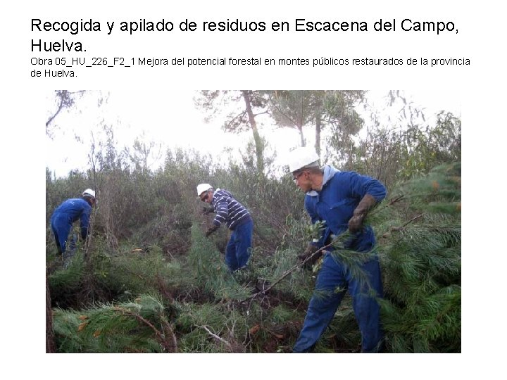 Recogida y apilado de residuos en Escacena del Campo, Huelva. Obra 05_HU_226_F 2_1 Mejora Recogida y apilado de residuos en Escacena del Campo, Huelva. Obra 05_HU_226_F 2_1 Mejora