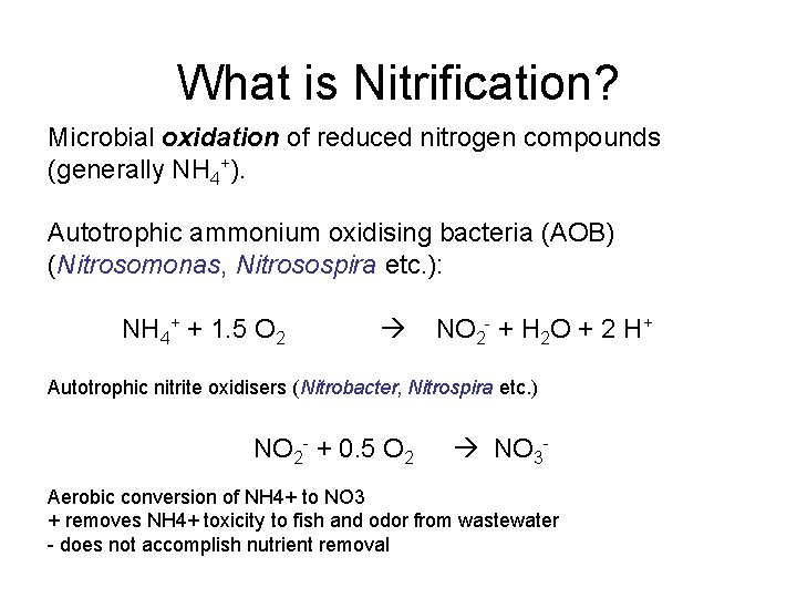 What is Nitrification? Microbial oxidation of reduced nitrogen compounds (generally NH 4+). Autotrophic ammonium What is Nitrification? Microbial oxidation of reduced nitrogen compounds (generally NH 4+). Autotrophic ammonium