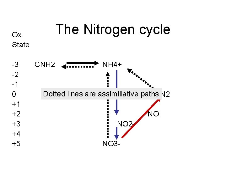 The Nitrogen cycle Ox State 3 2 1 0 +1 +2 +3 +4 +5 The Nitrogen cycle Ox State 3 2 1 0 +1 +2 +3 +4 +5