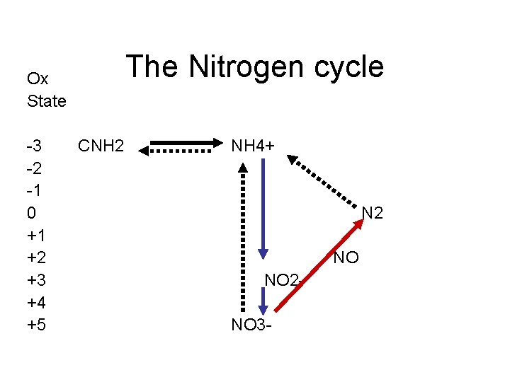 The Nitrogen cycle Ox State 3 2 1 0 +1 +2 +3 +4 +5 The Nitrogen cycle Ox State 3 2 1 0 +1 +2 +3 +4 +5