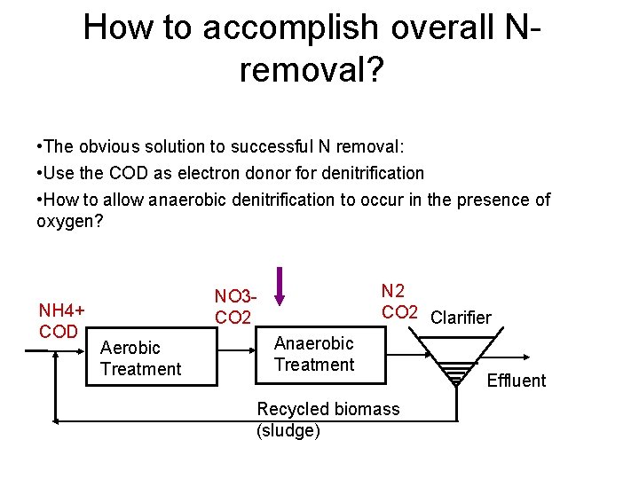 How to accomplish overall N removal? • The obvious solution to successful N removal: How to accomplish overall N removal? • The obvious solution to successful N removal: