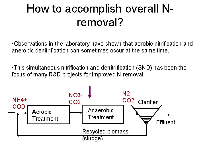 How to accomplish overall N removal? • Observations in the laboratory have shown that How to accomplish overall N removal? • Observations in the laboratory have shown that