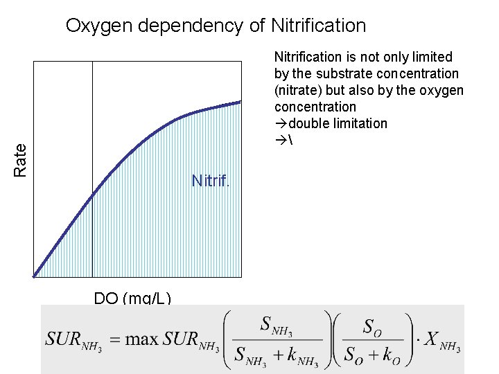 Oxygen dependency of Nitrification Rate Nitrification is not only limited by the substrate concentration Oxygen dependency of Nitrification Rate Nitrification is not only limited by the substrate concentration