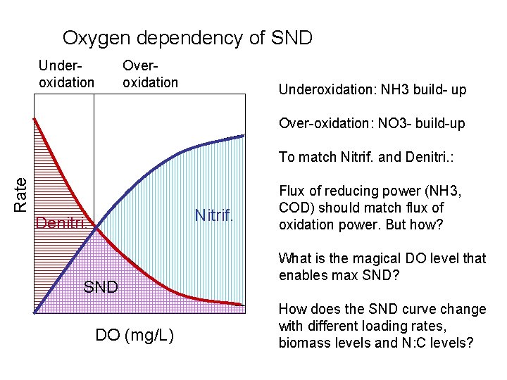 Oxygen dependency of SND Under oxidation Over oxidation Underoxidation: NH 3 build up Over Oxygen dependency of SND Under oxidation Over oxidation Underoxidation: NH 3 build up Over