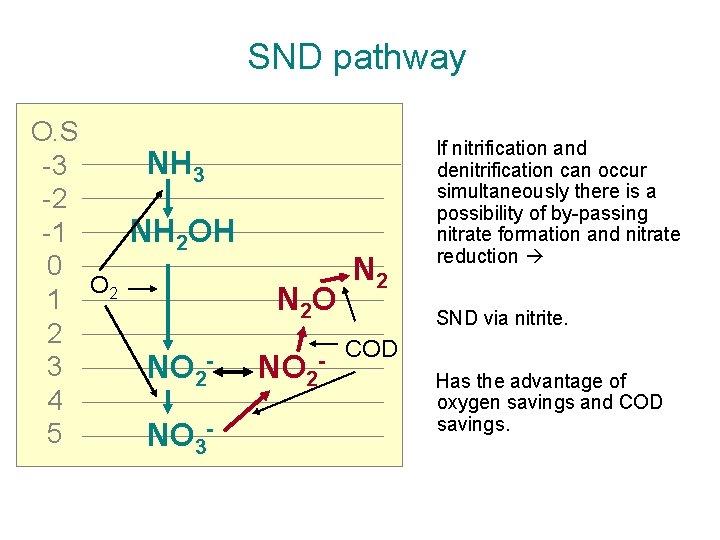 SND pathway O. S NH 3 3 2 1 NH 2 OH 0 N SND pathway O. S NH 3 3 2 1 NH 2 OH 0 N