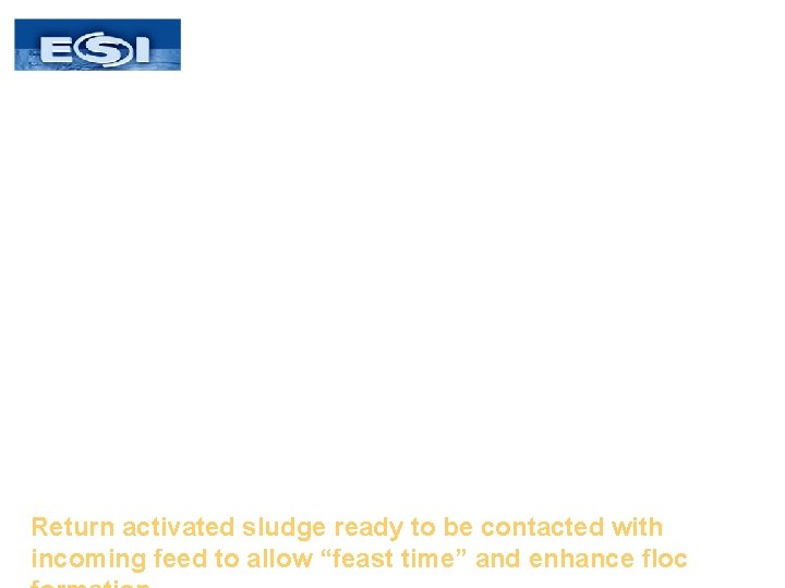 Return activated sludge ready to be contacted with incoming feed to allow “feast time” Return activated sludge ready to be contacted with incoming feed to allow “feast time”