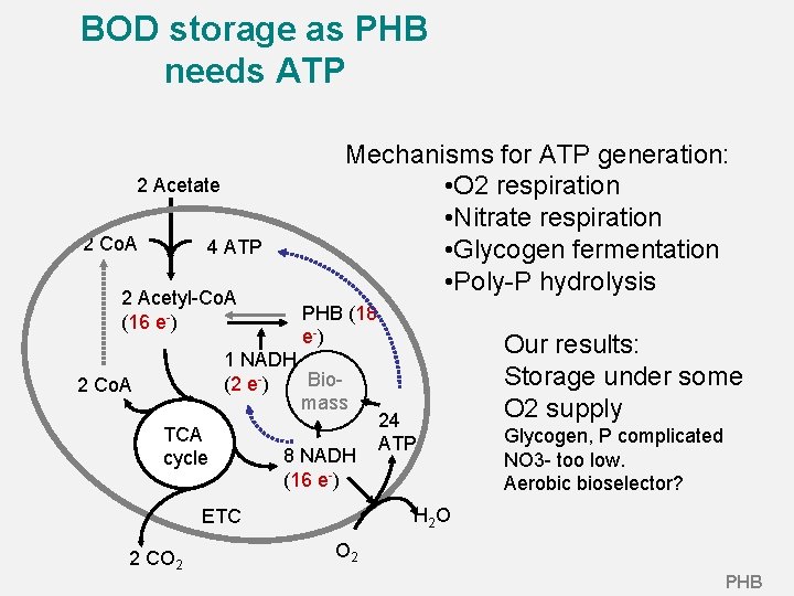 BOD storage as PHB needs ATP 2 Acetate 2 Co. A 4 ATP 2 BOD storage as PHB needs ATP 2 Acetate 2 Co. A 4 ATP 2