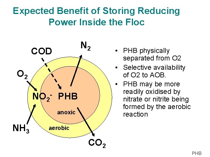 Expected Benefit of Storing Reducing Power Inside the Floc N 2 COD O 2 Expected Benefit of Storing Reducing Power Inside the Floc N 2 COD O 2