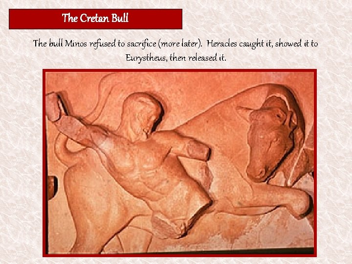 The Cretan Bull The bull Minos refused to sacrifice (more later). Heracles caught it,