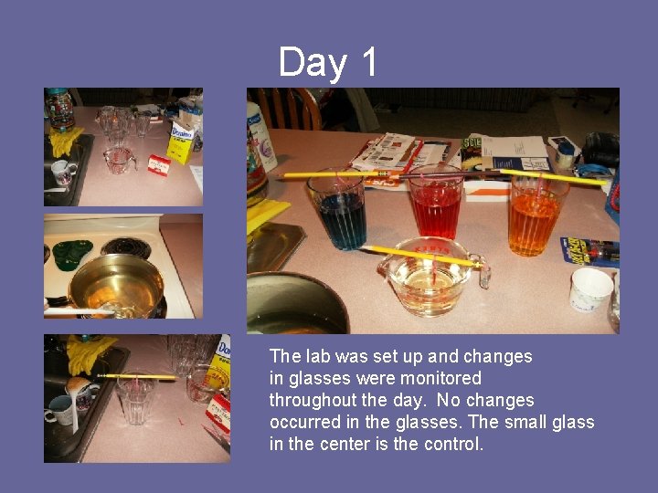 Day 1 The lab was set up and changes in glasses were monitored throughout