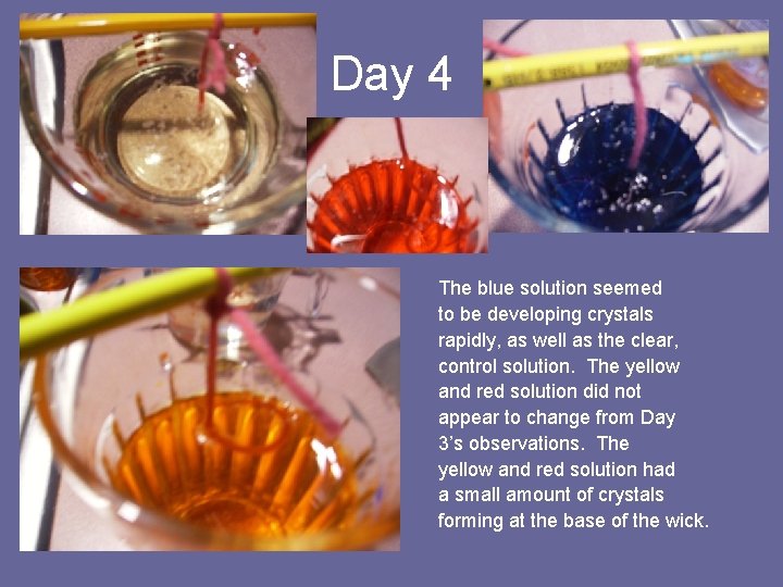 Day 4 The blue solution seemed to be developing crystals rapidly, as well as