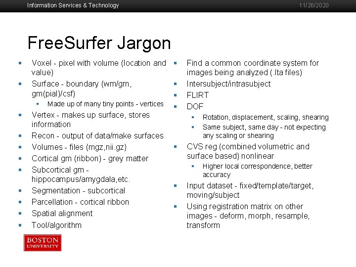 Information Services & Technology 11/26/2020 Free. Surfer Jargon § § § Voxel - pixel