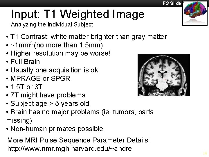 FS Slide * Input: T 1 Weighted Image Analyzing the Individual Subject • T