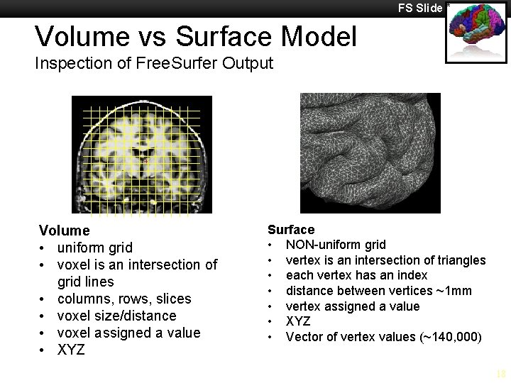 FS Slide * Volume vs Surface Model Inspection of Free. Surfer Output Volume •